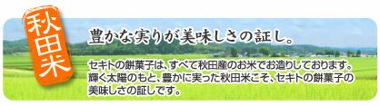akitamai