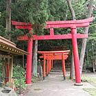 inari